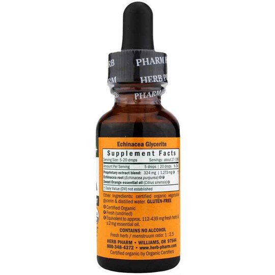 Kids Echinacea Orange Flavor, HPH
